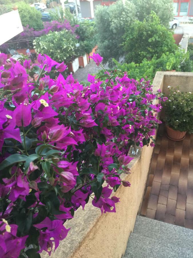 B&B Arcipelago La Maddalena  Zewnętrze zdjęcie